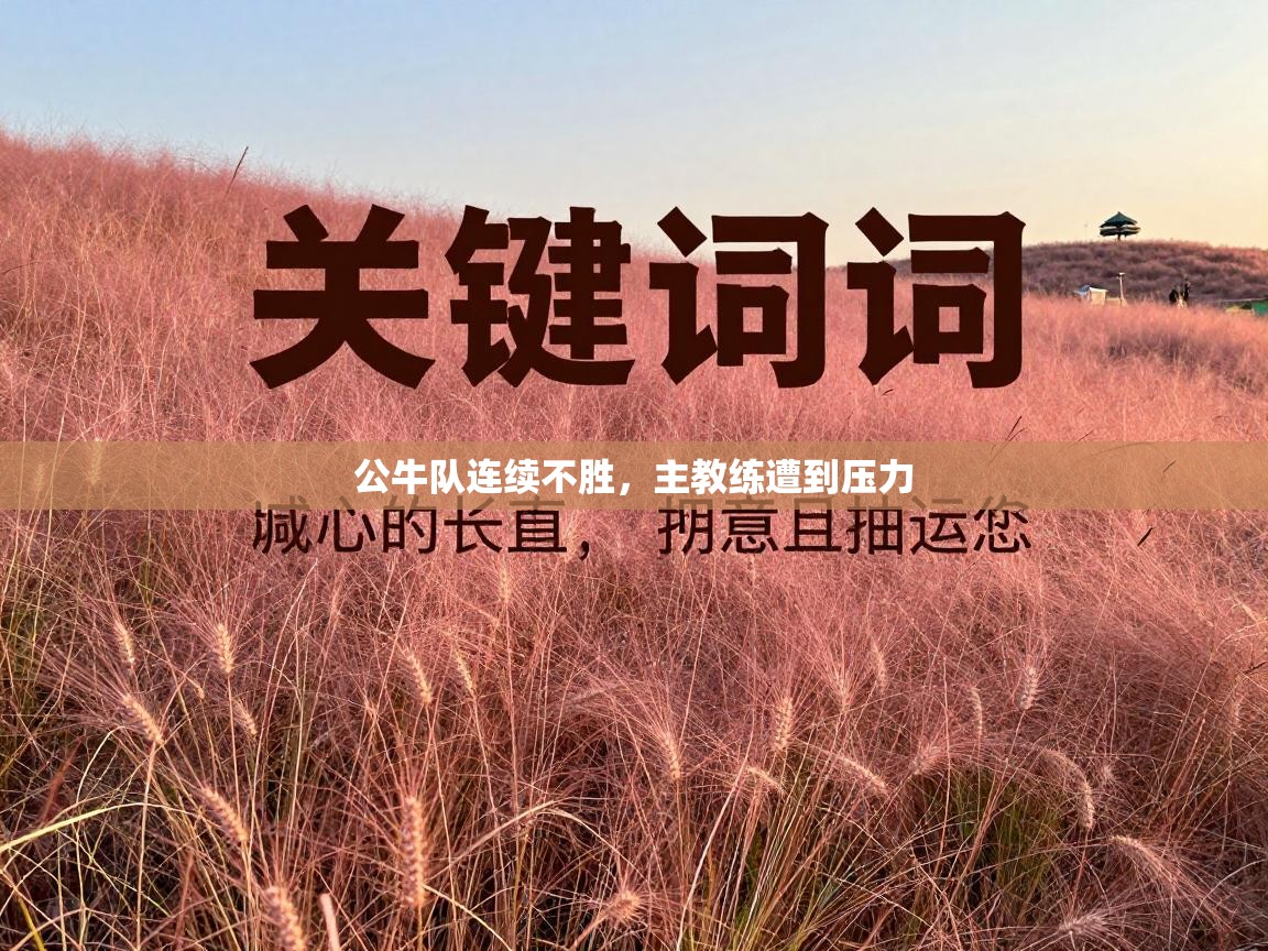 公牛队连续不胜，主教练遭到压力  第2张